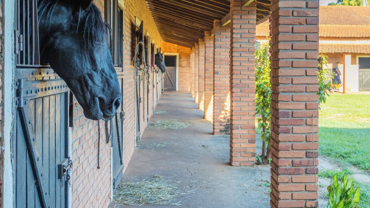 Photo of Outdoor in Porto Feliz