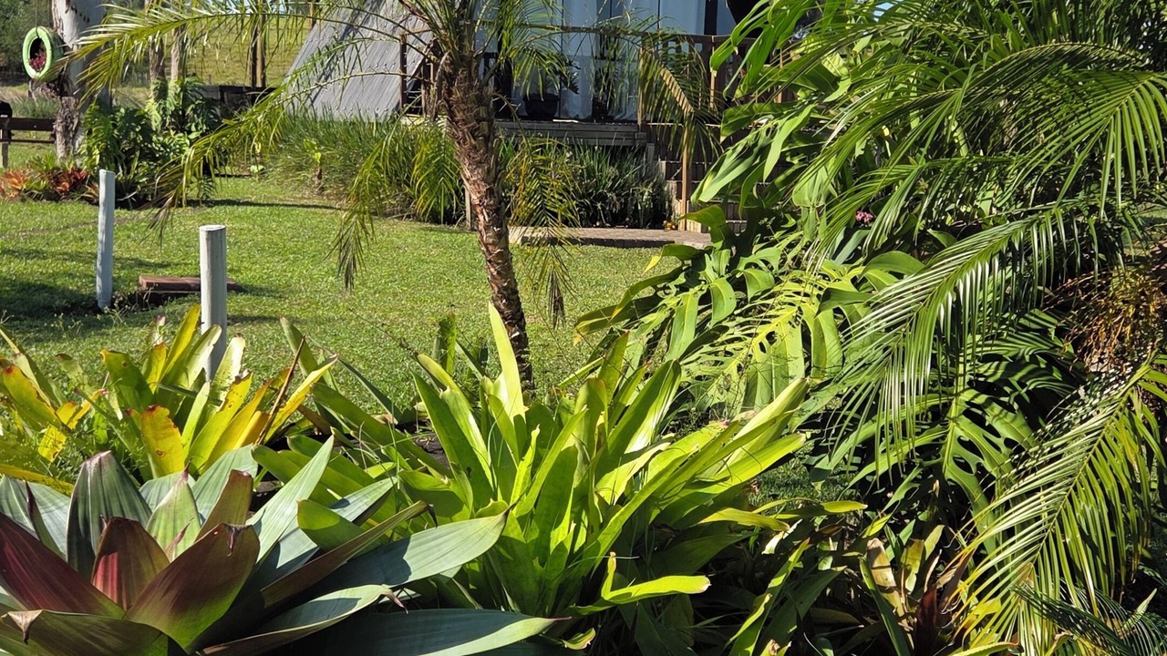 Photo of Outdoor in Parobe