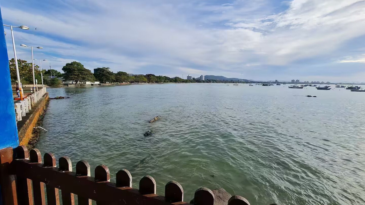 Photo of Outdoor in Praia da Armacao do Itapocoroi