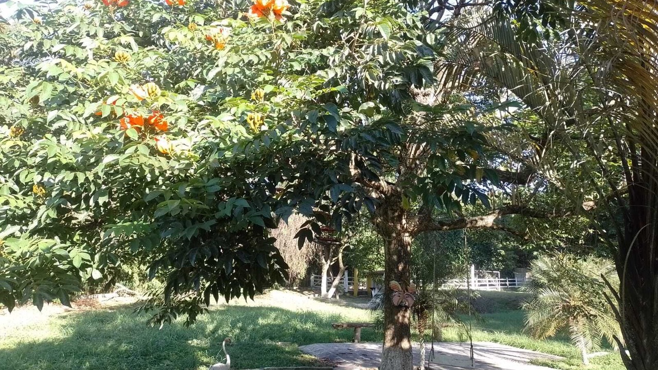 Photo of Outdoor in Cruzeiro