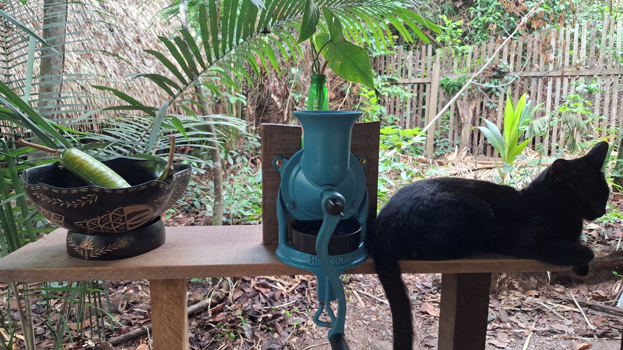 Photo of Outdoor in Alter do Chao