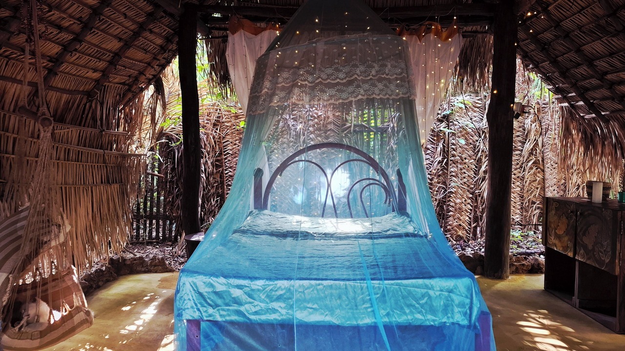 Photo of Outdoor in Alter do Chao