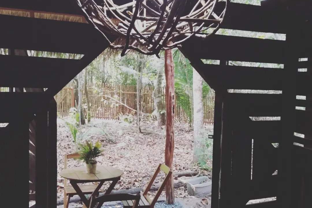 Photo of Outdoor in Alter do Chao