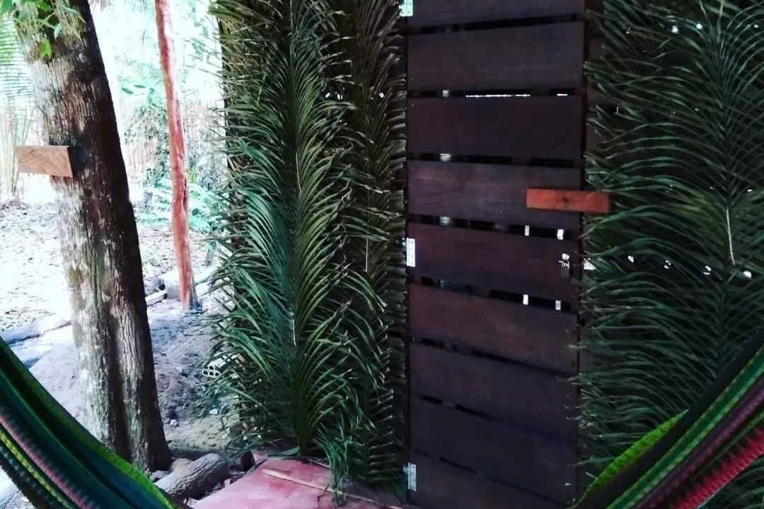 Photo of Outdoor in Alter do Chao