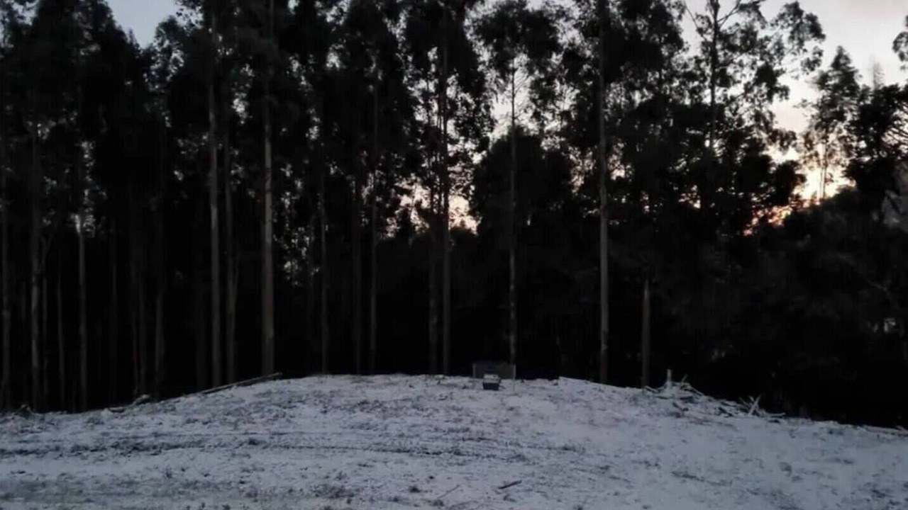 Photo of Bedroom in Urupema