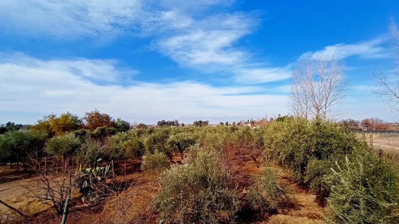 Photo of Outdoor in Palmira