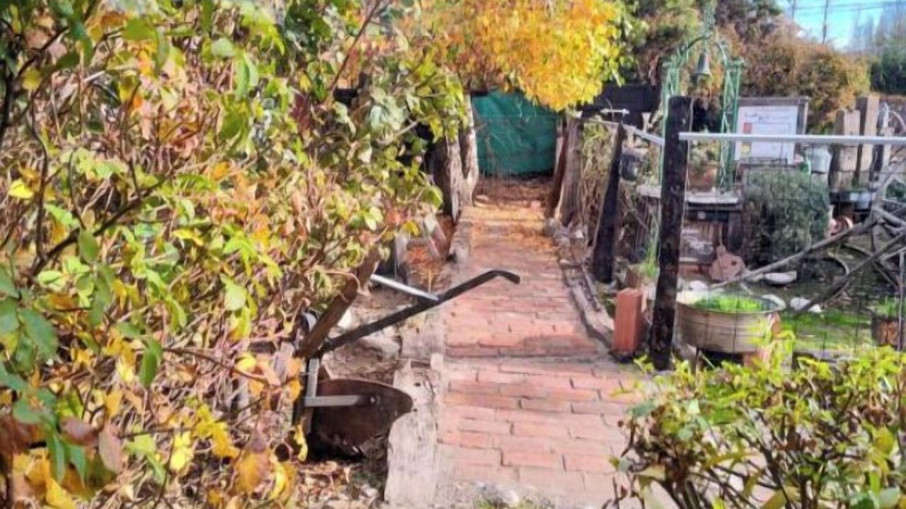 Photo of Outdoor in San Martin de los Andes