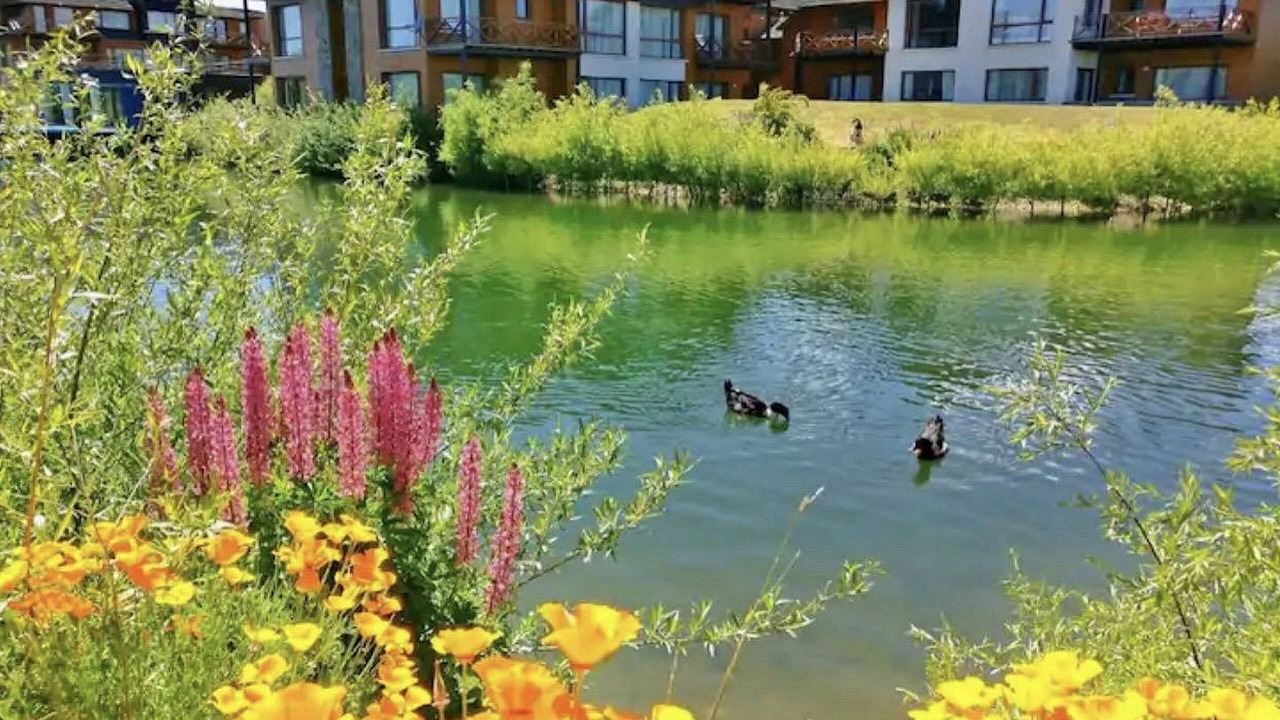 Photo of Outdoor in Dina Huapi