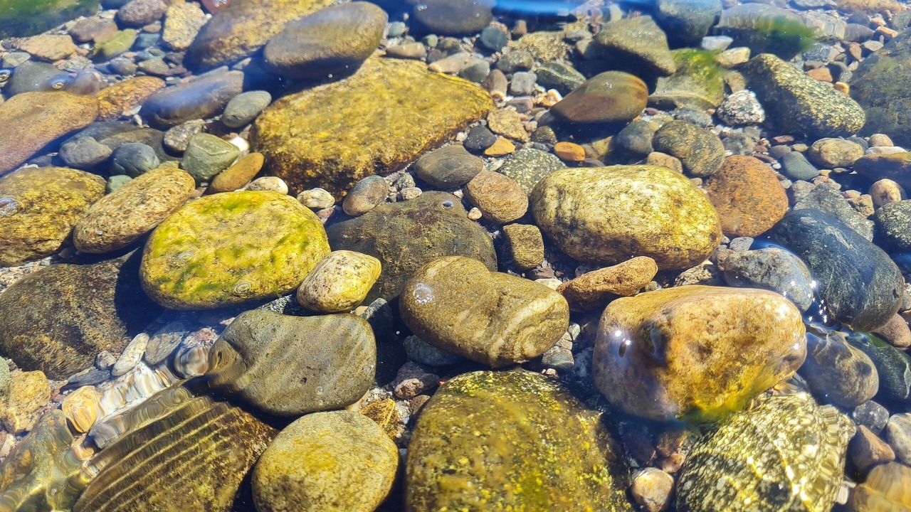 Photo of Others in Dina Huapi