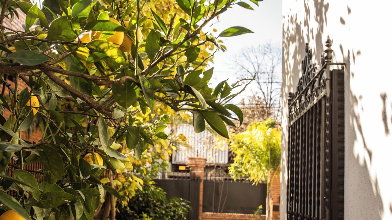 Photo of Outdoor in Villa Devoto