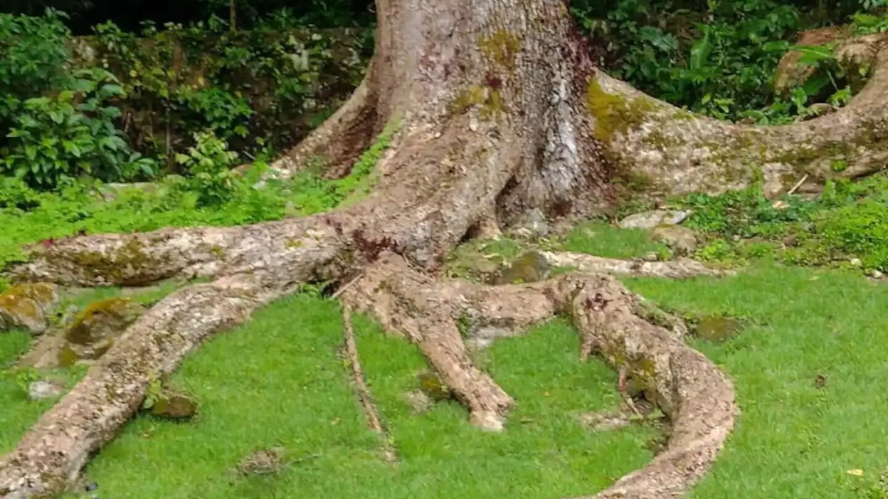 Photo of Outdoor in Maresias