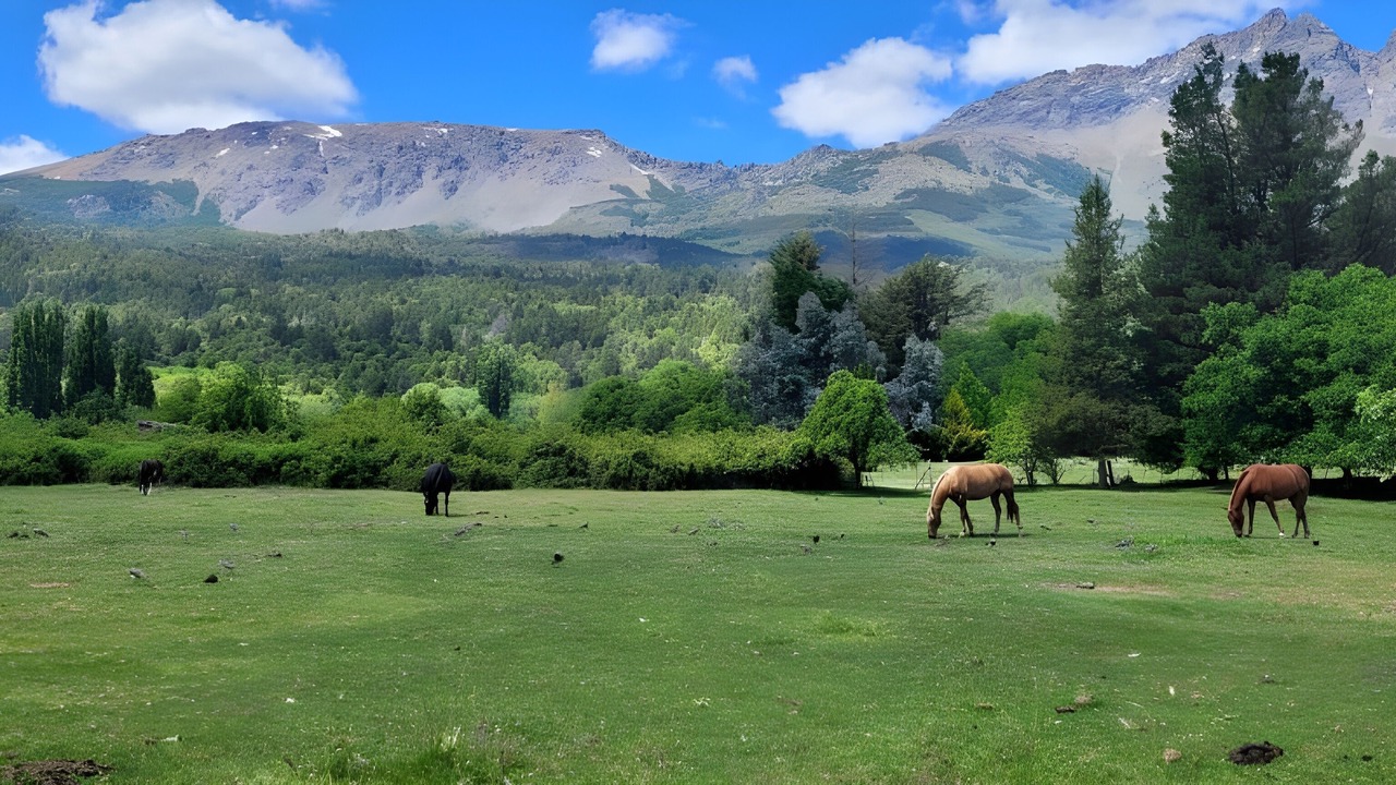 Photo of Outdoor in El Bolson