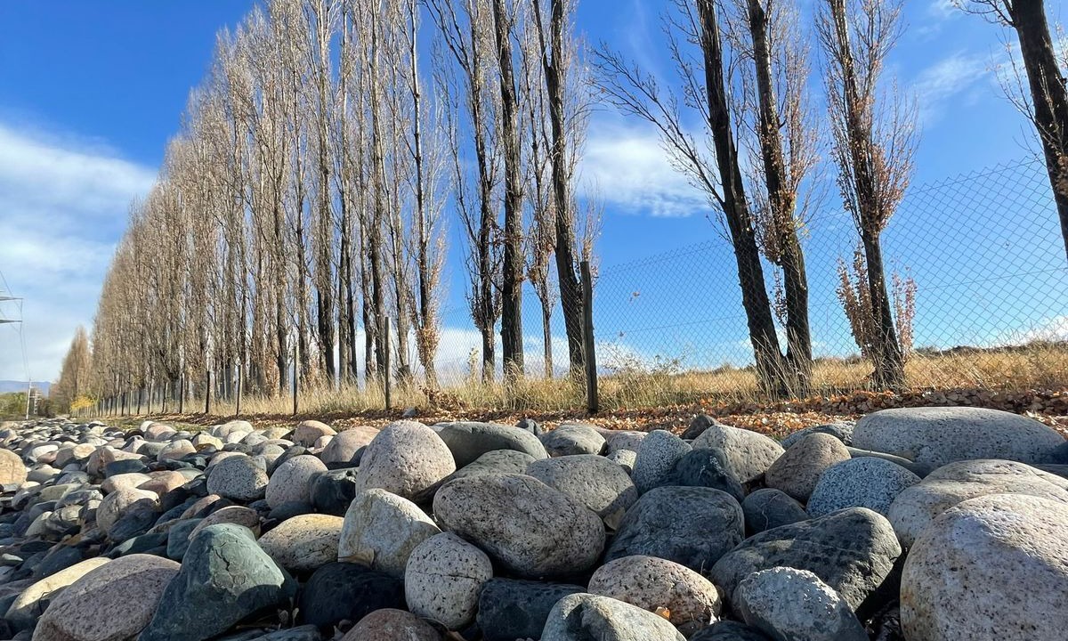 Photo of Outdoor in Tupungato