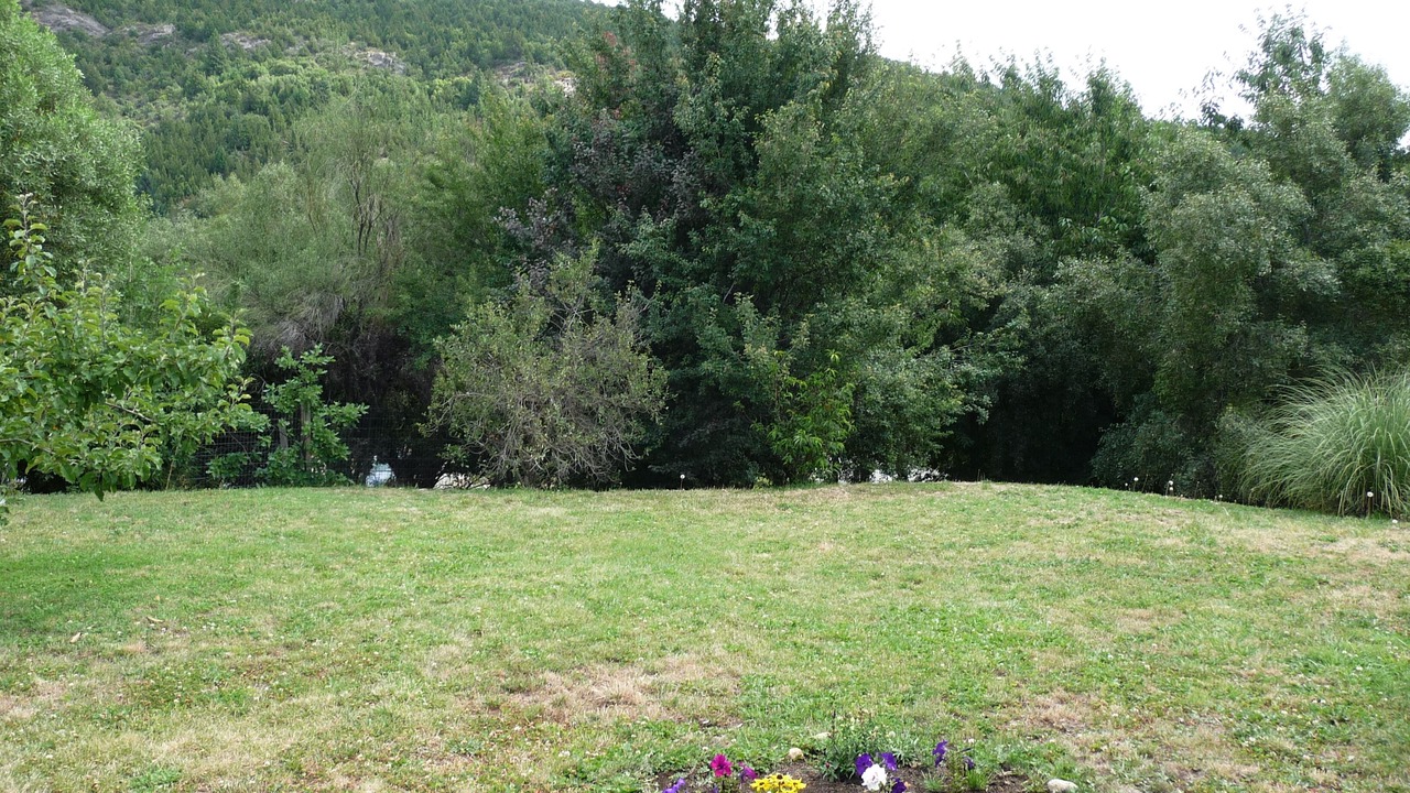 Photo of Others in Playa Bonita