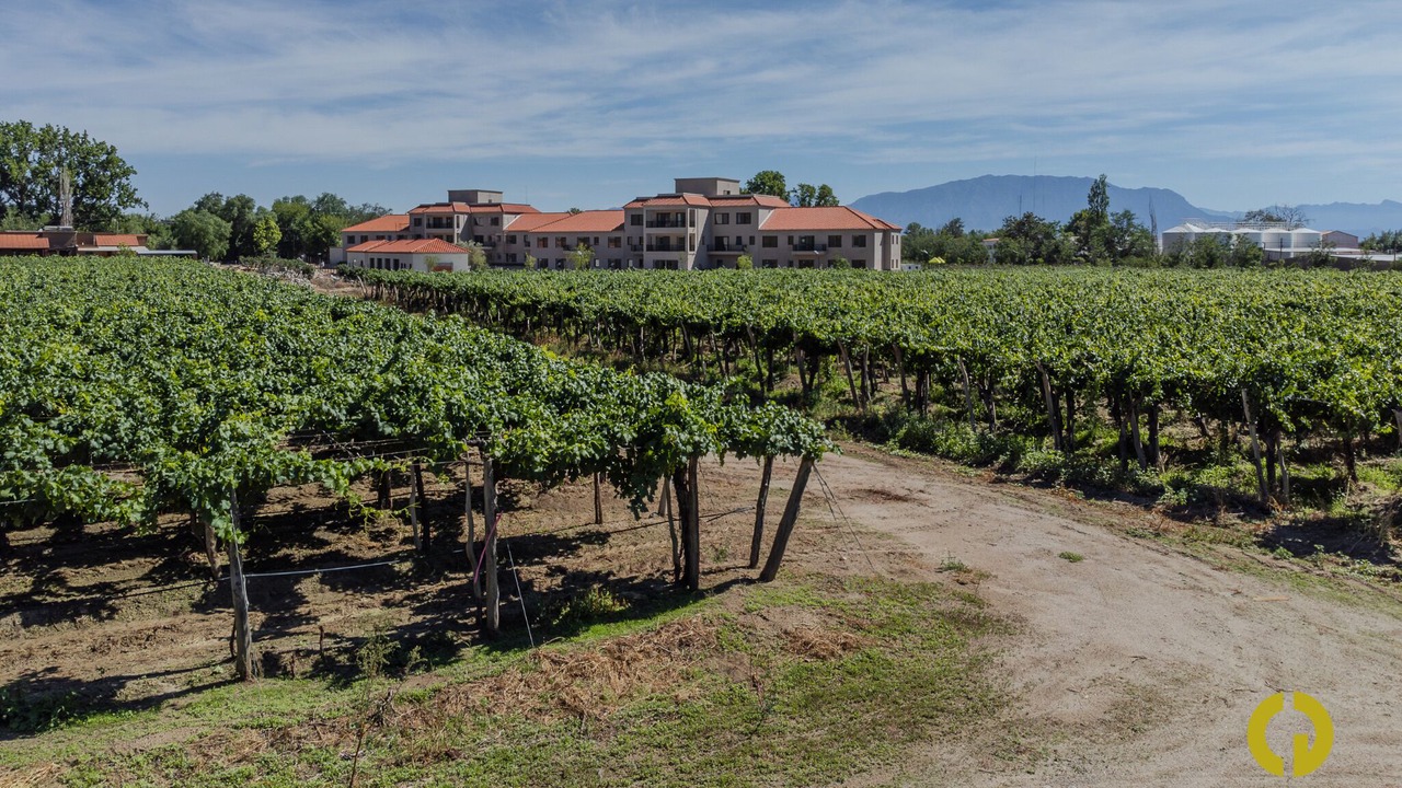 Photo of Outdoor in Cafayate