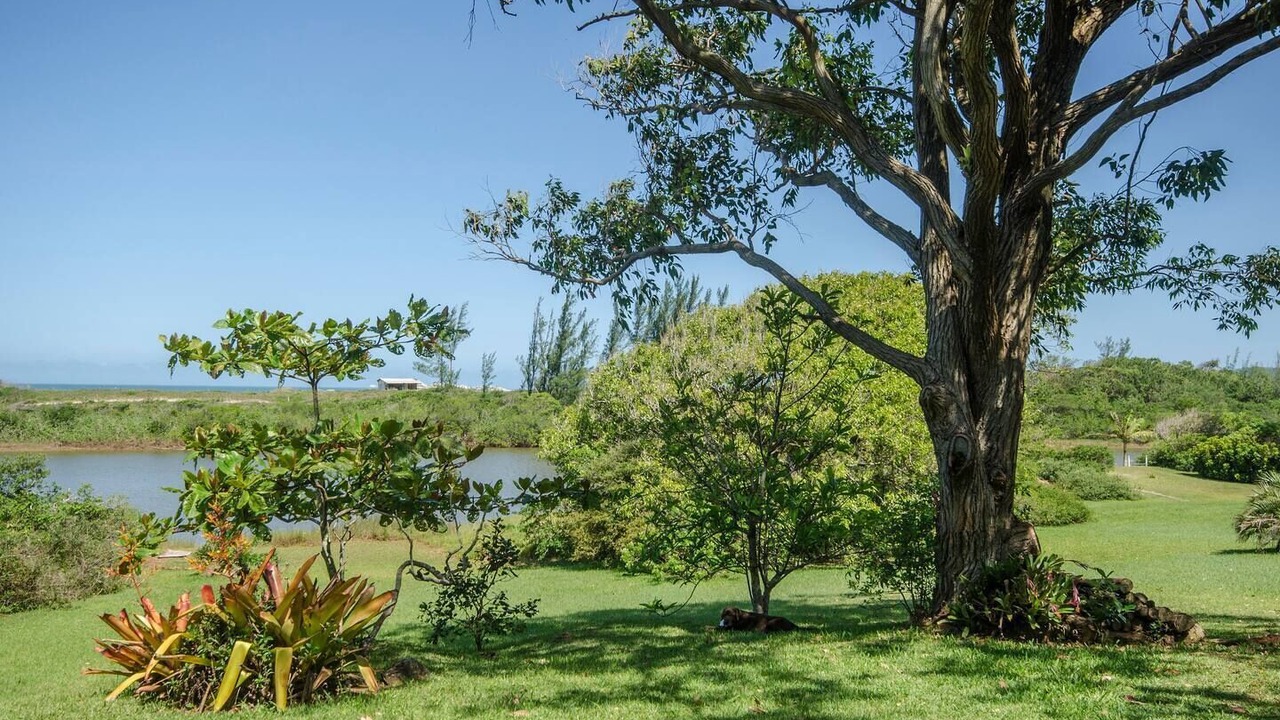 Photo of Outdoor in Morrinhos