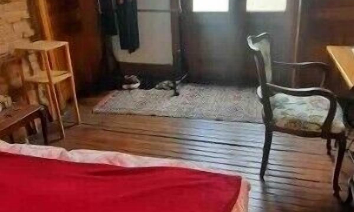 Photo of Bedroom in Constitucion