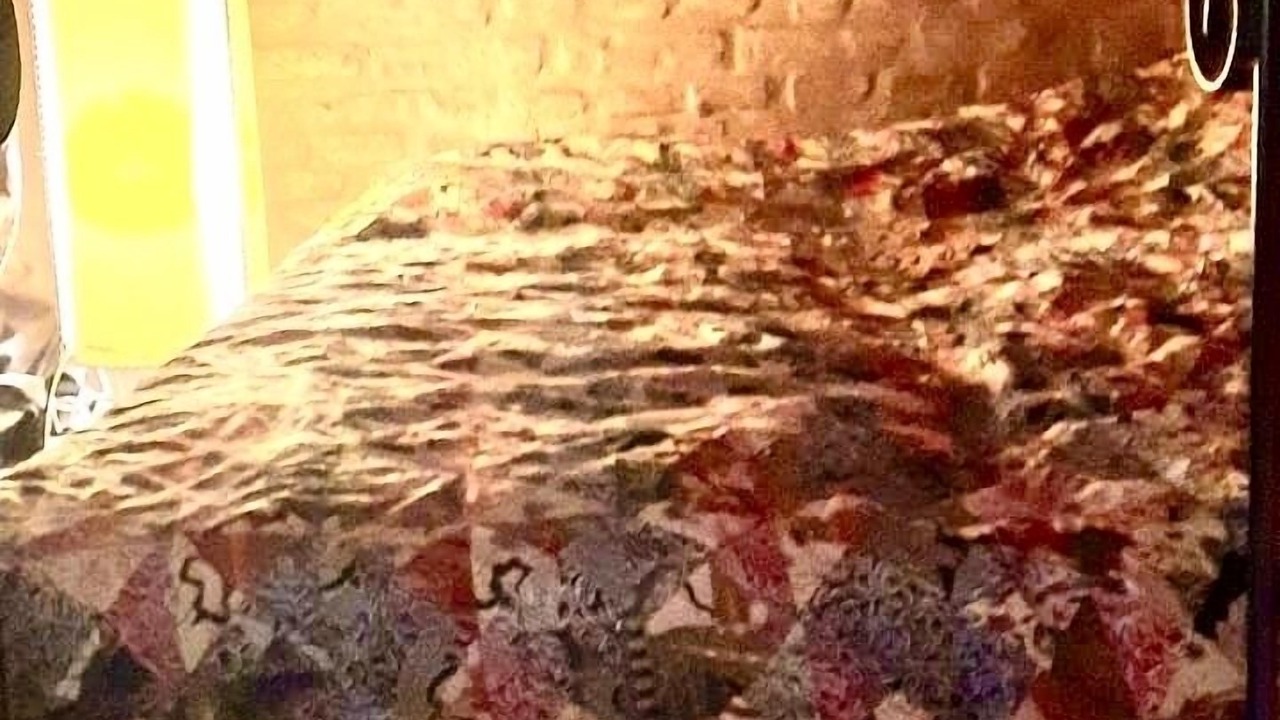 Photo of Bedroom in Constitucion
