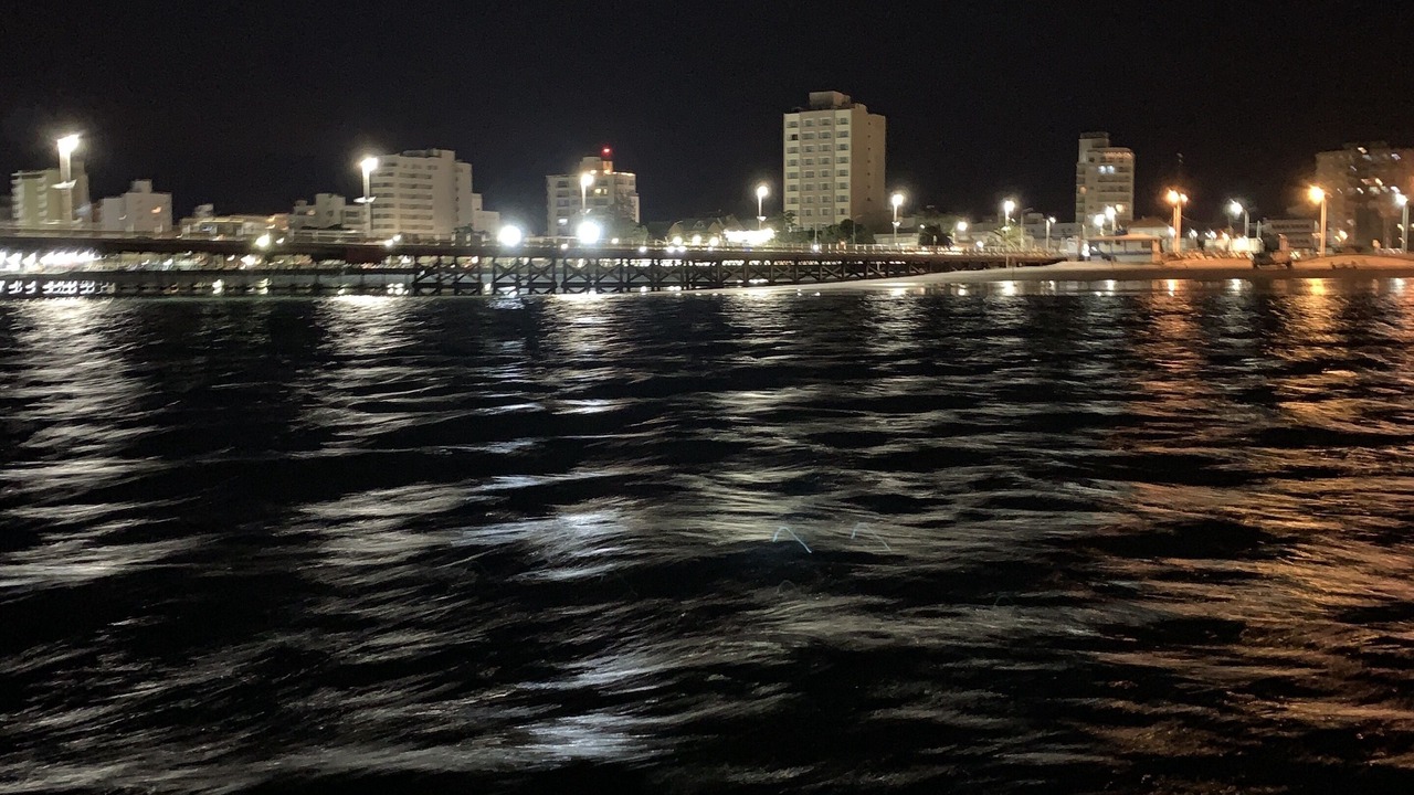 Photo of Others in Puerto Madryn