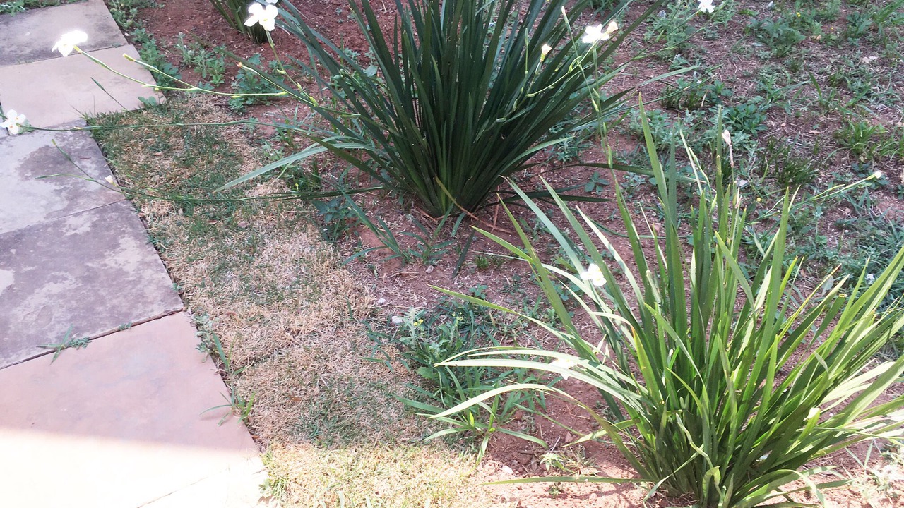 Photo of Outdoor in Sousas