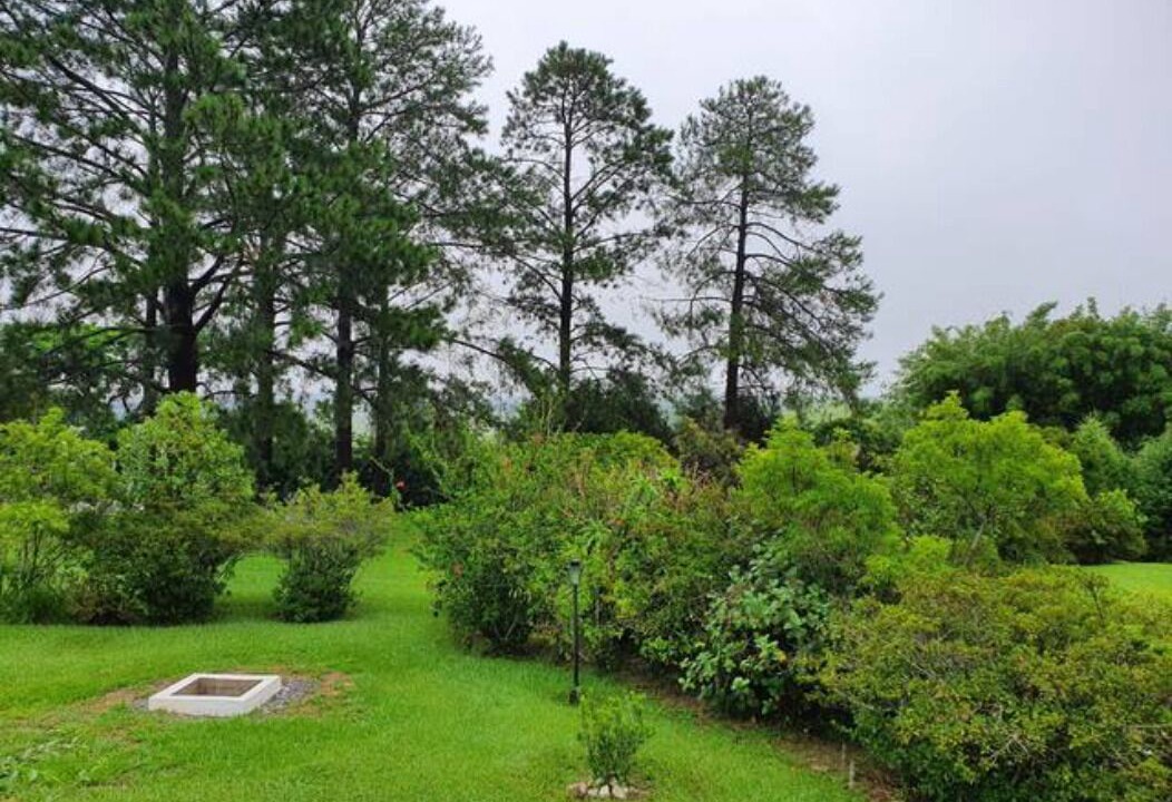 Photo of Outdoor in Sarapui