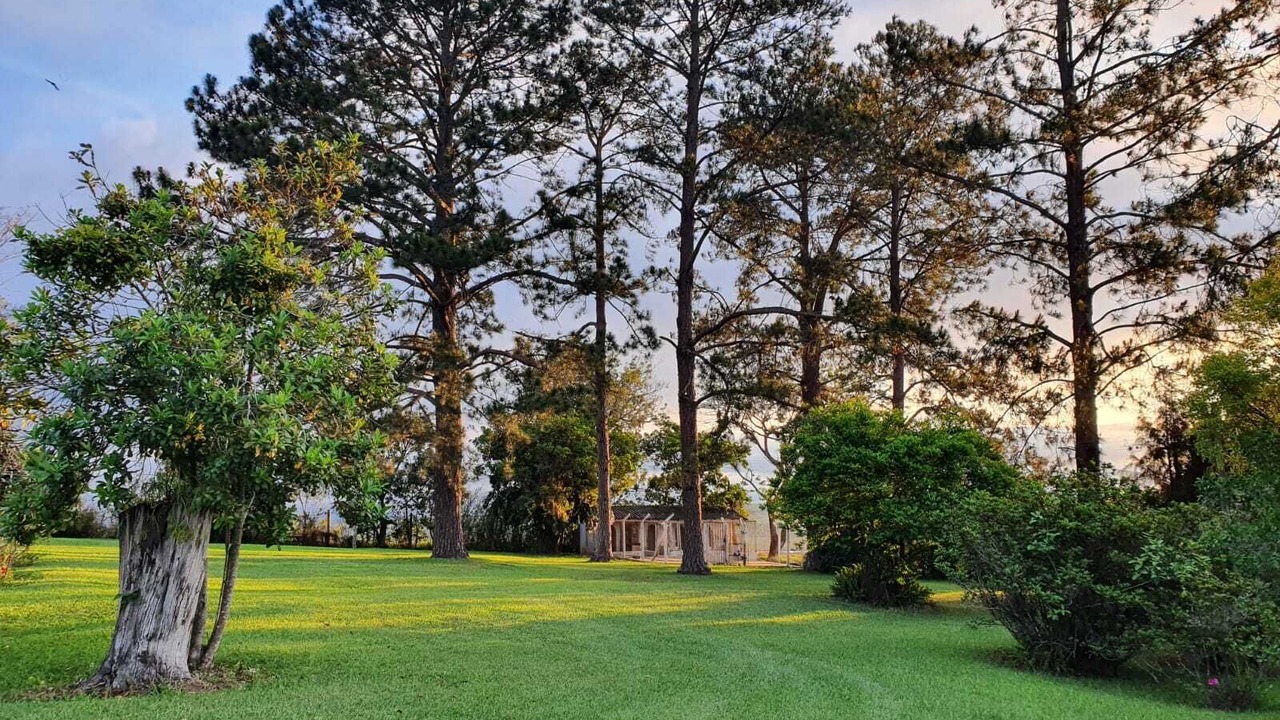 Photo of Outdoor in Sarapui