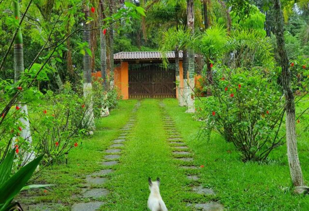 Photo of Outdoor in Sarapui