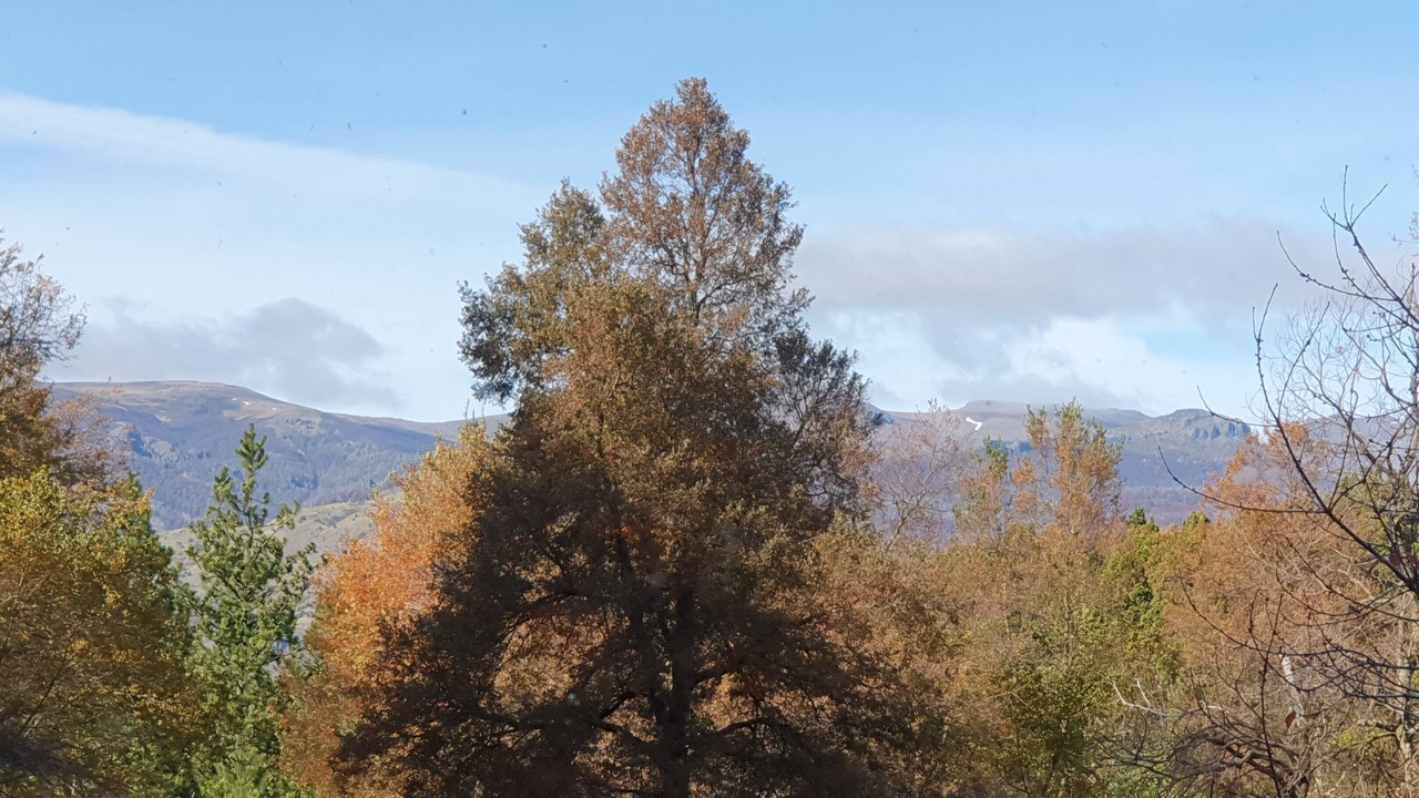 Photo of Outdoor in San Martin de los Andes