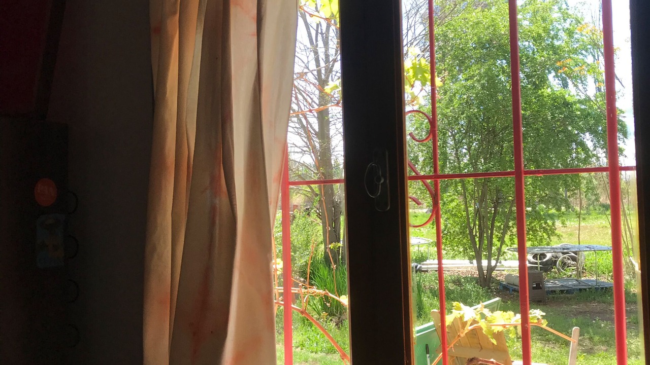 Photo of Others in Trelew