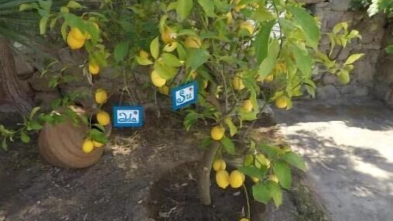 Photo of Outdoor in La Plata