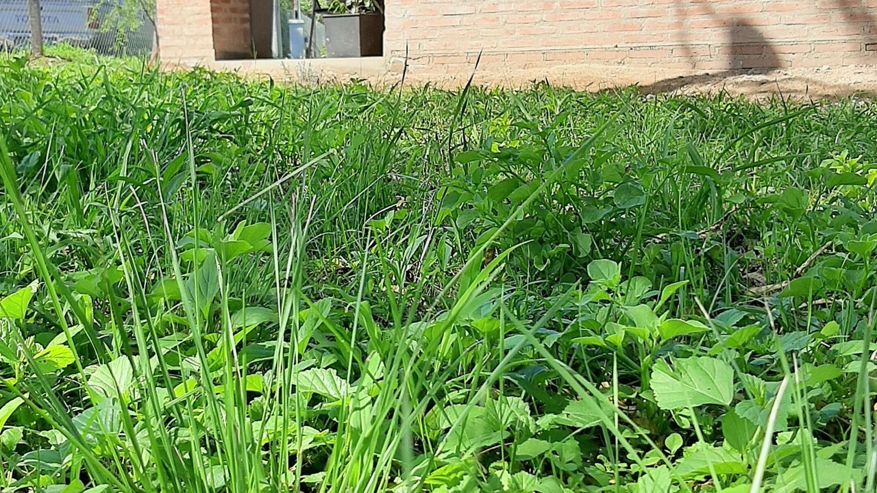 Photo of Outdoor in Santa Rosa de Calamuchita