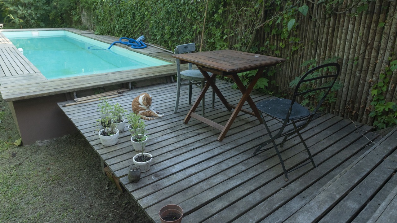 Photo of Outdoor in Tigre