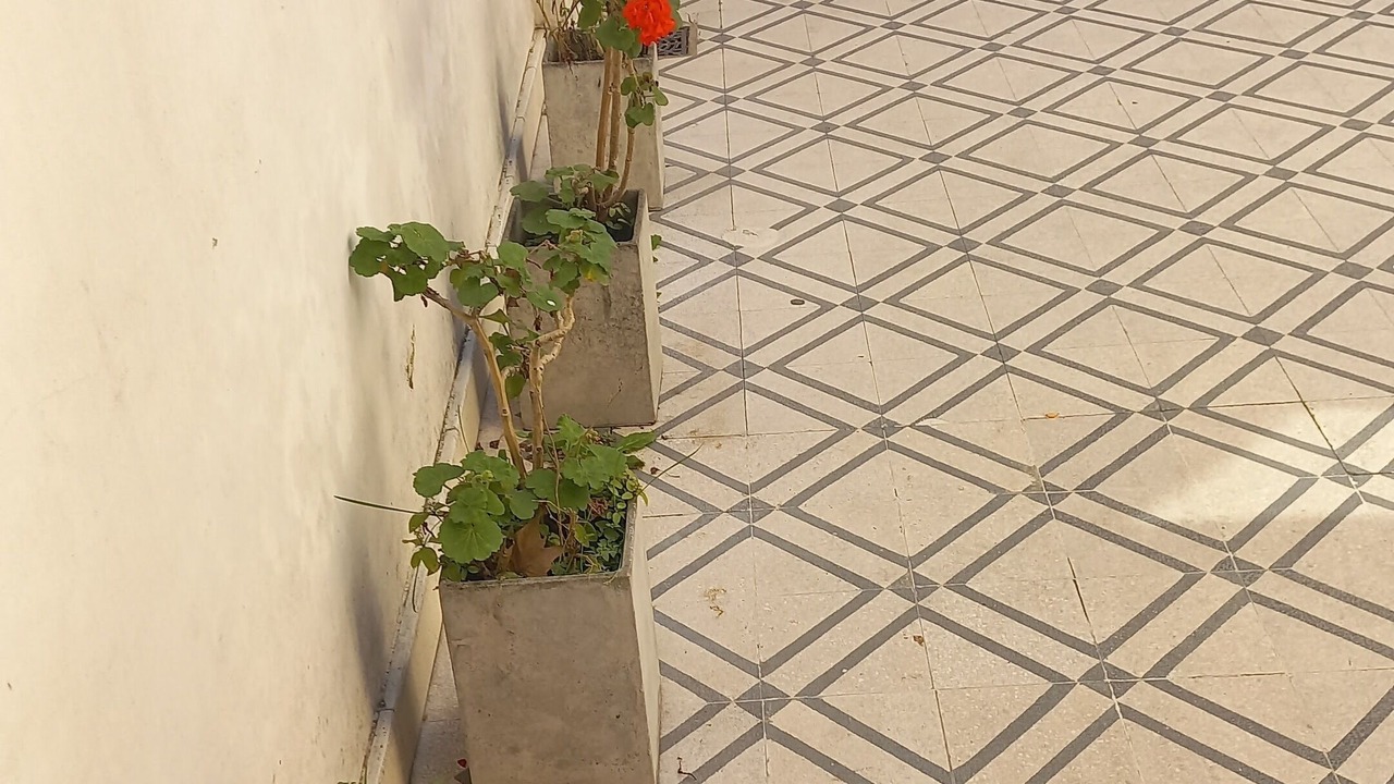 Photo of Outdoor in Barracas