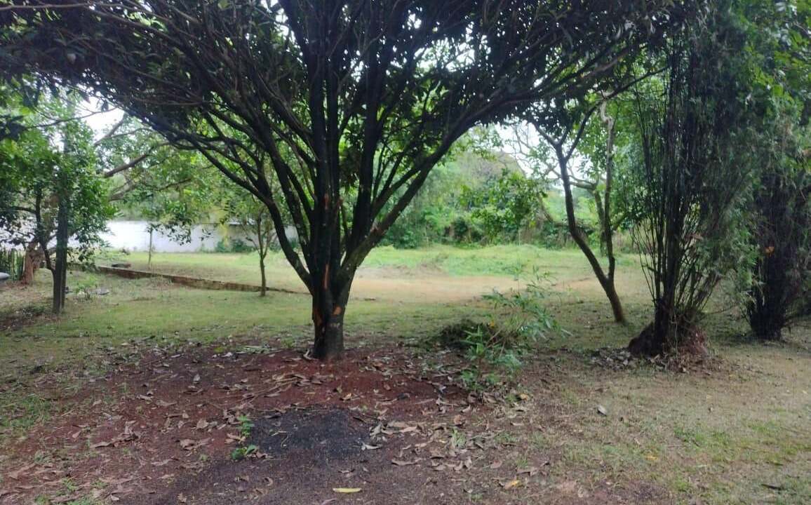 Photo of Outdoor in Cambe