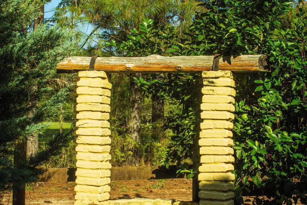 Photo of Outdoor in Colonia Ayui