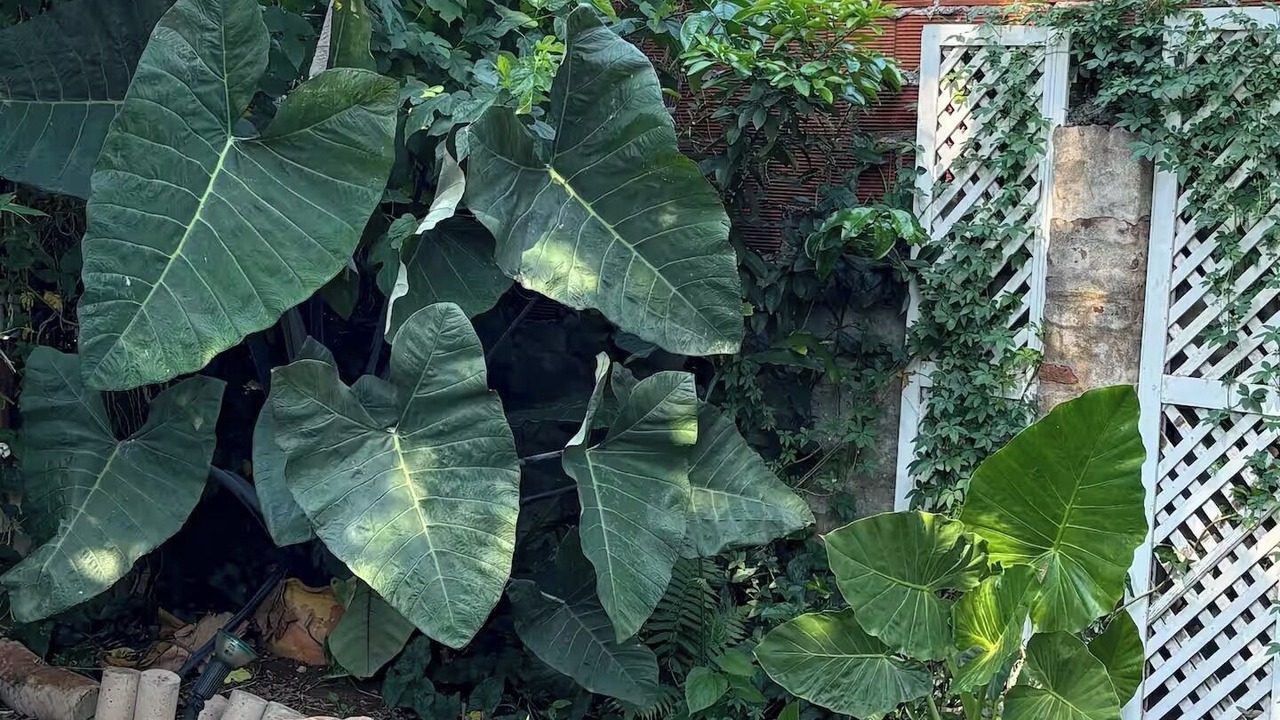 Photo of Outdoor in Posadas