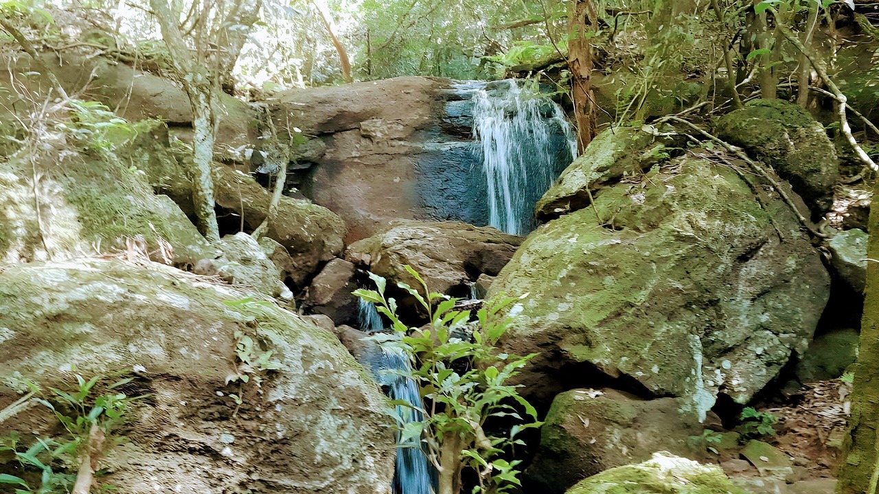 Photo of Others in Obera