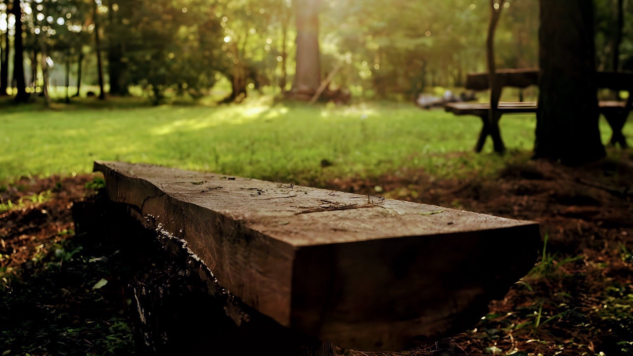 Photo of Outdoor in Obera