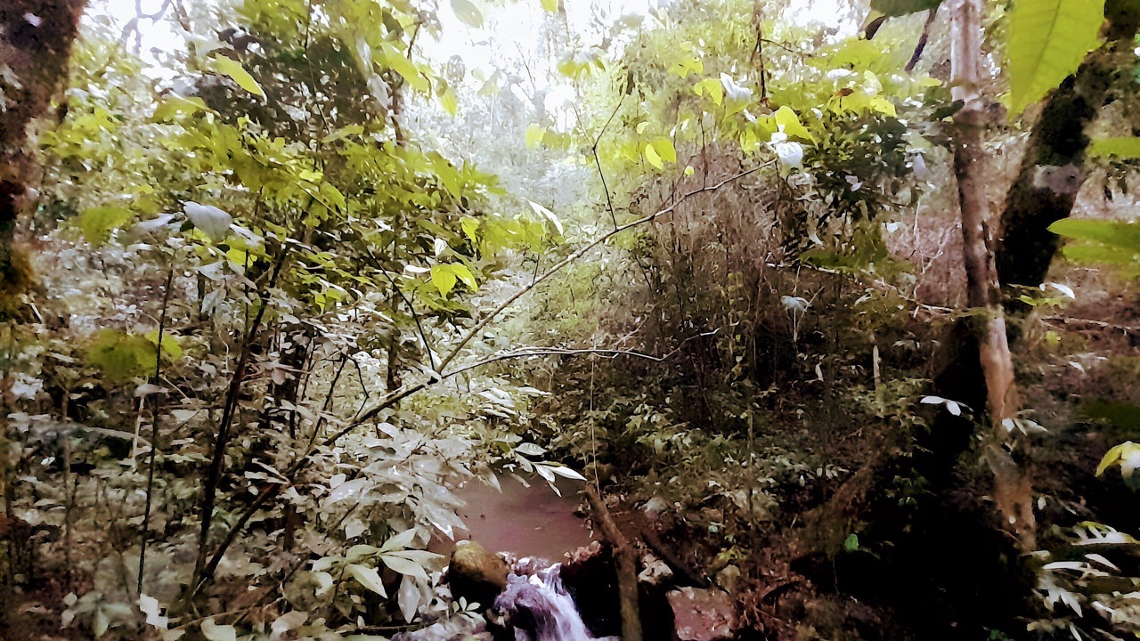 Photo of Others in Obera