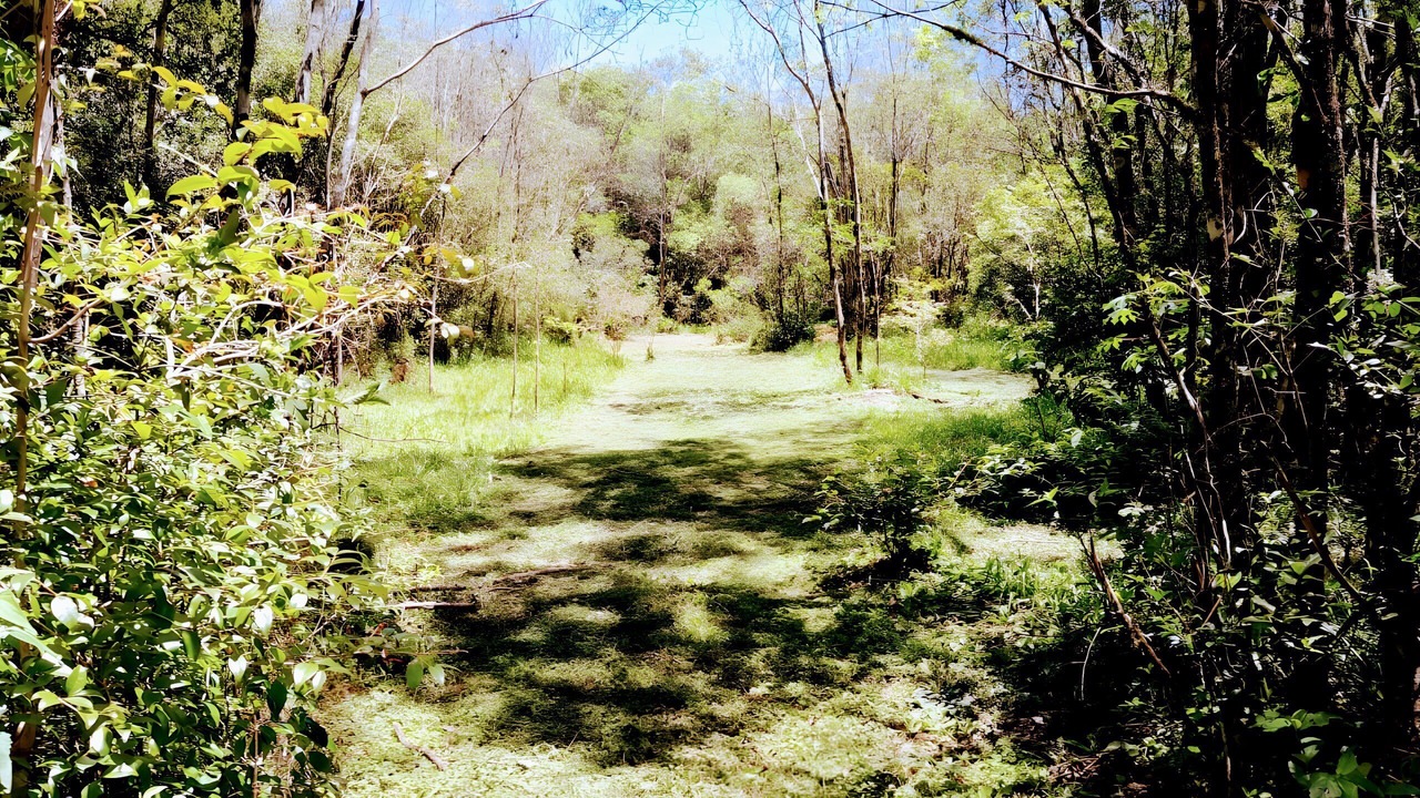 Photo of Others in Obera