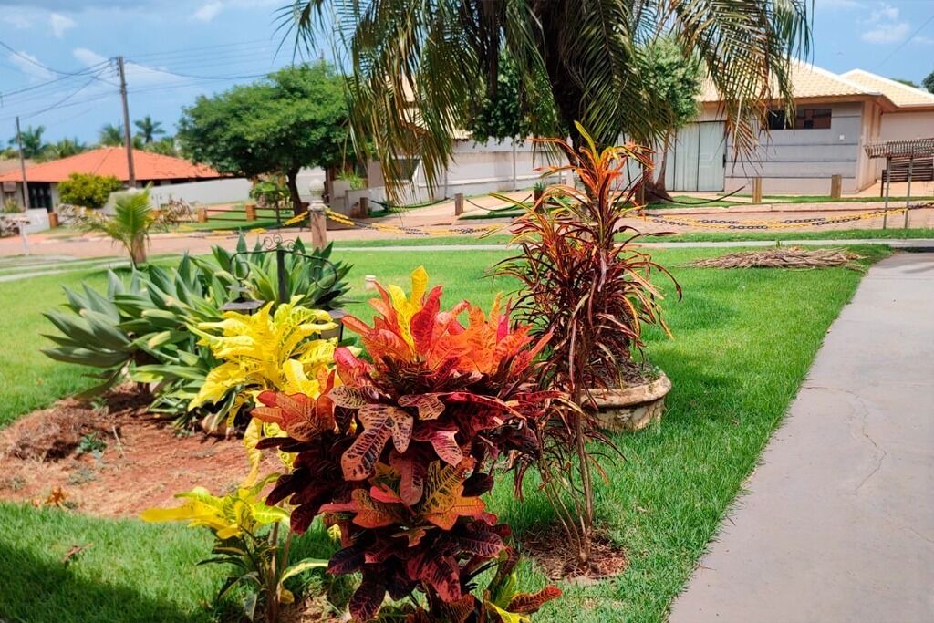 Photo of Outdoor in Santo Inacio