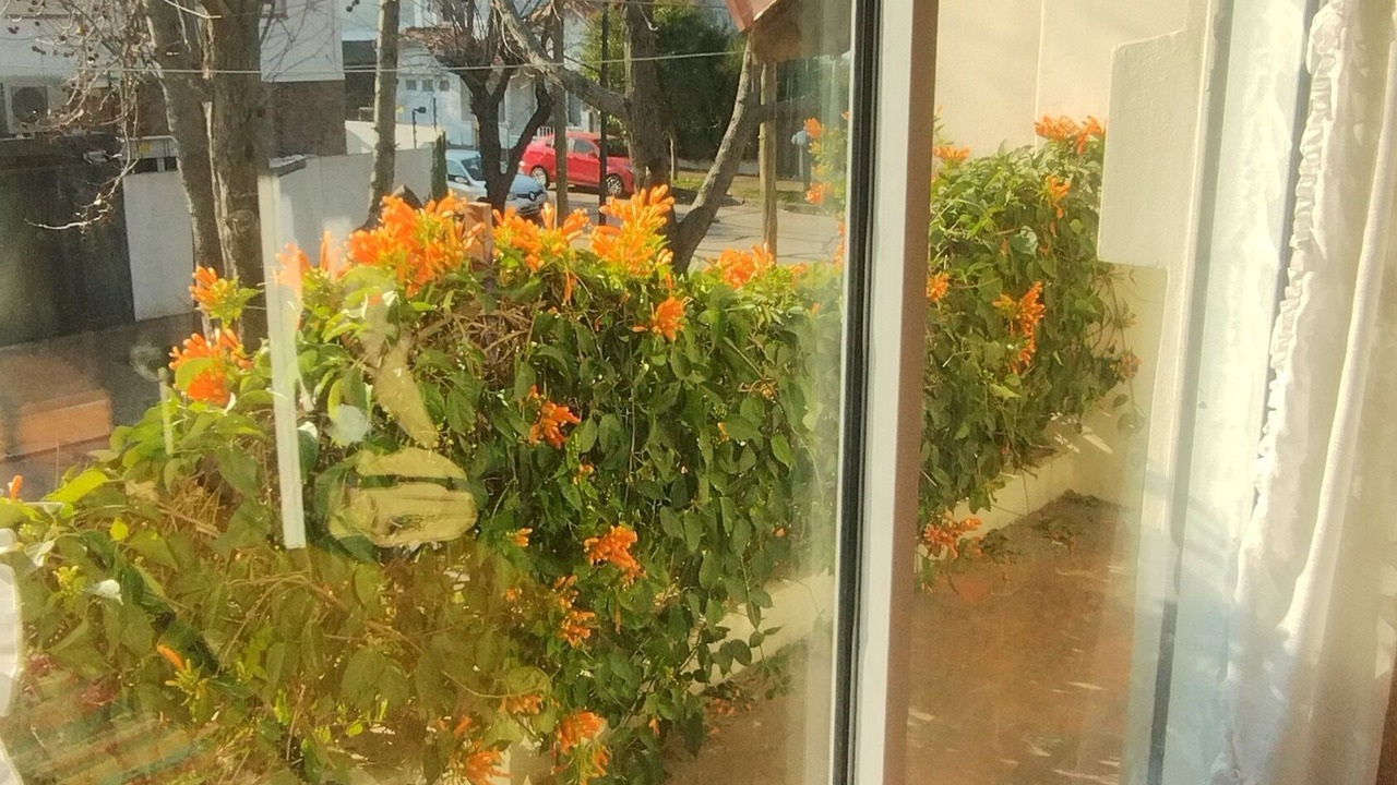 Photo of Others in Martinez