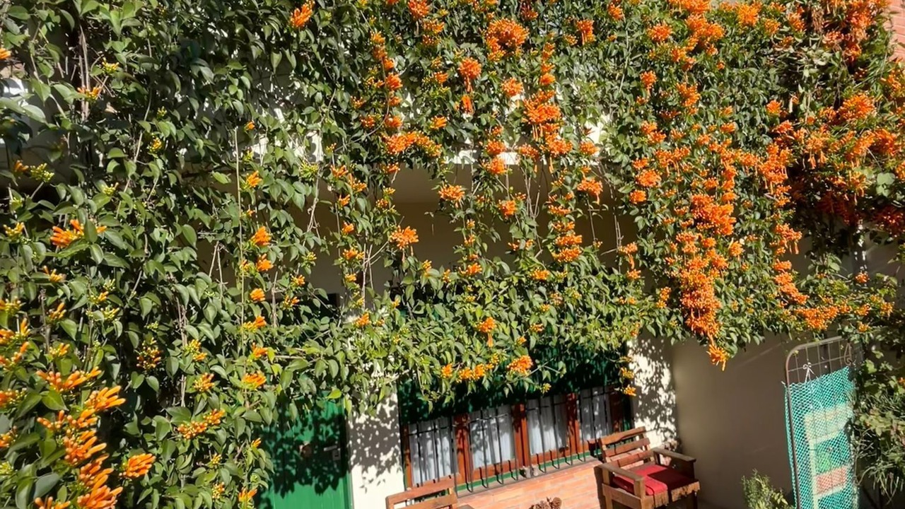 Photo of Outdoor in Martinez