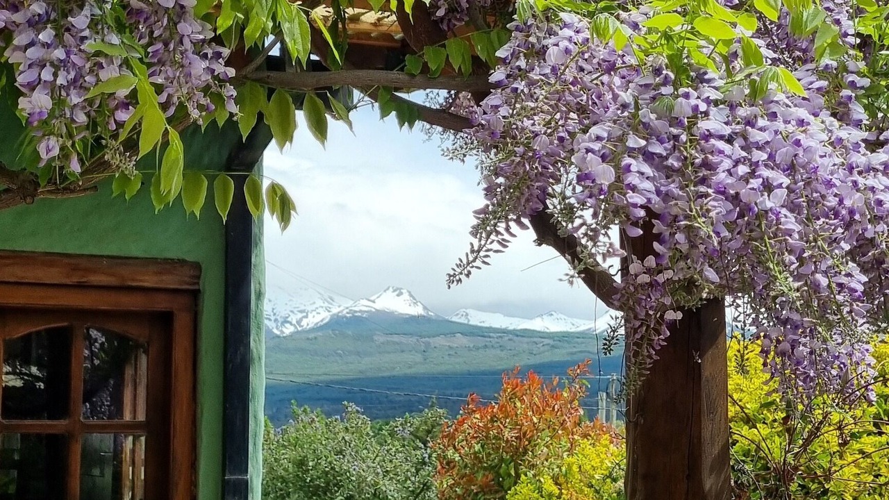 Photo of Outdoor in Trevelin