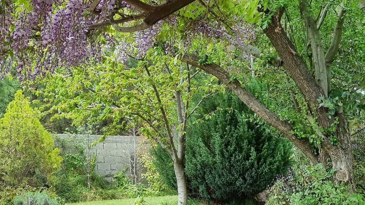Photo of Outdoor in Trevelin
