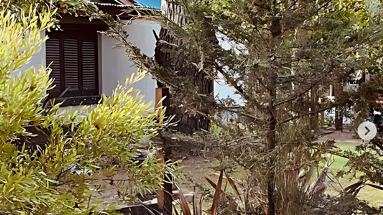 Photo of Outdoor in Costa del Este