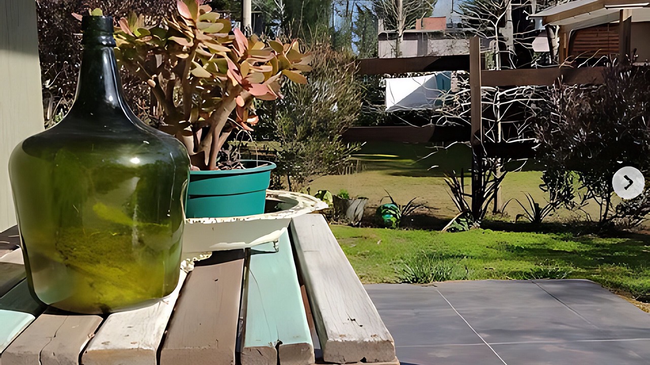 Photo of Outdoor in Costa del Este