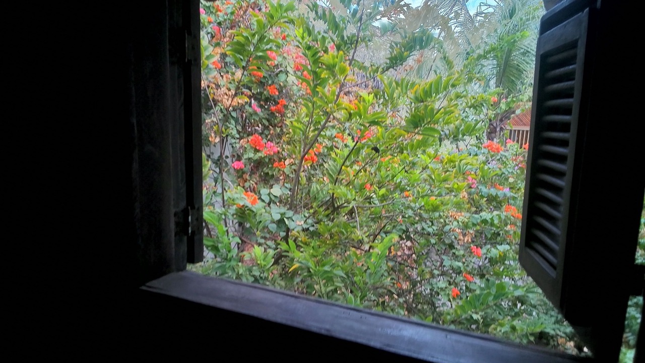 Photo of Others in Jijoca de Jericoacoara