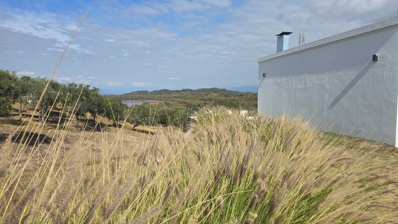 Photo of Outdoor in Coronel Moldes