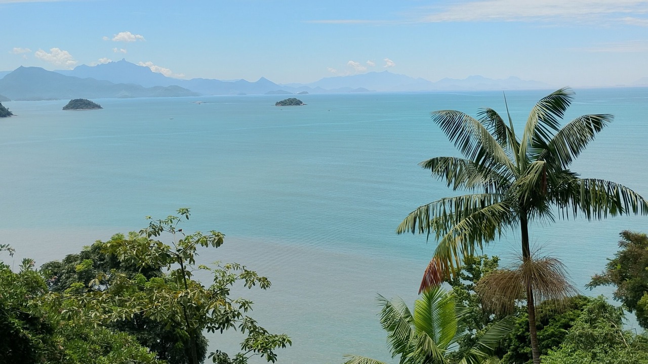 Photo of Others in Paraty